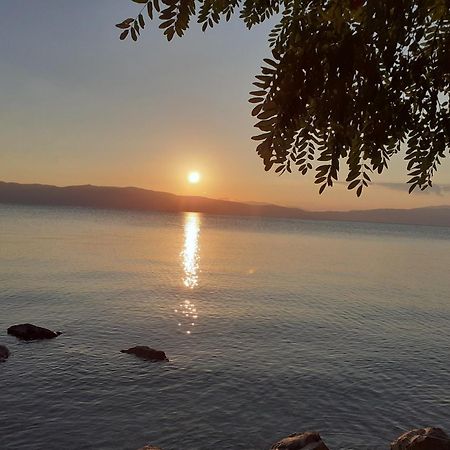 Guesthouse Zimovski Pestani Bagian luar foto