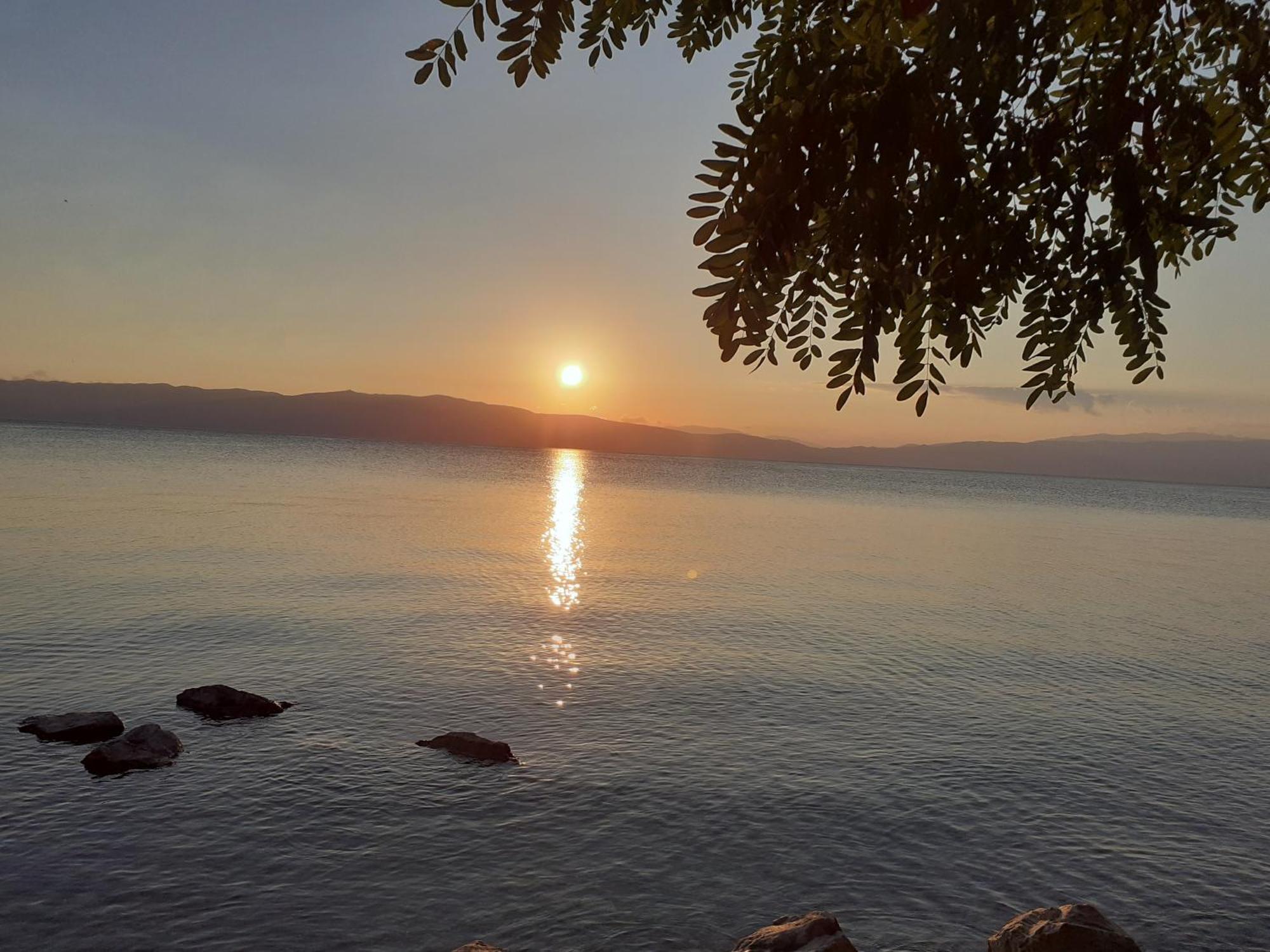 Guesthouse Zimovski Pestani Bagian luar foto