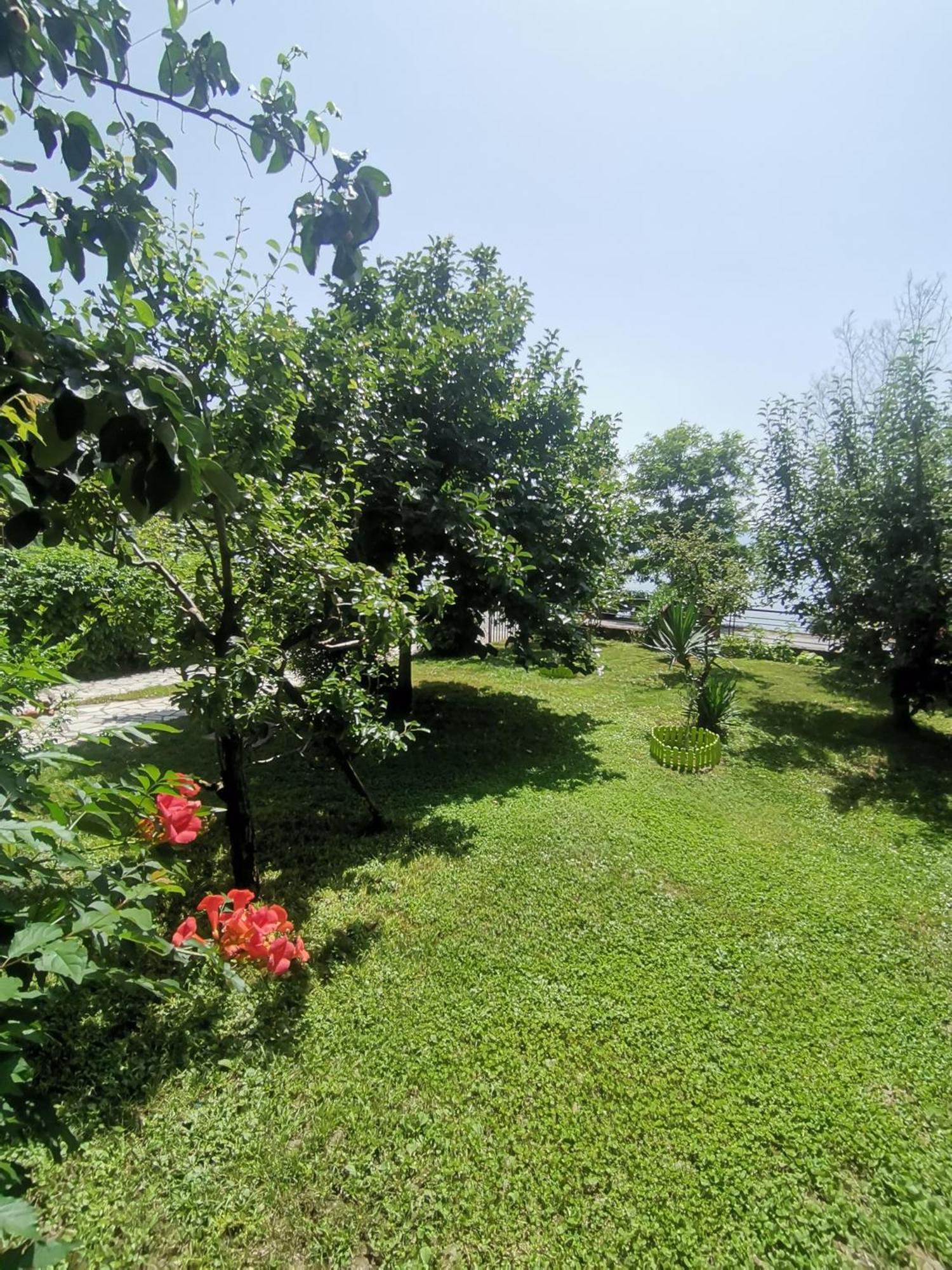 Guesthouse Zimovski Pestani Bagian luar foto