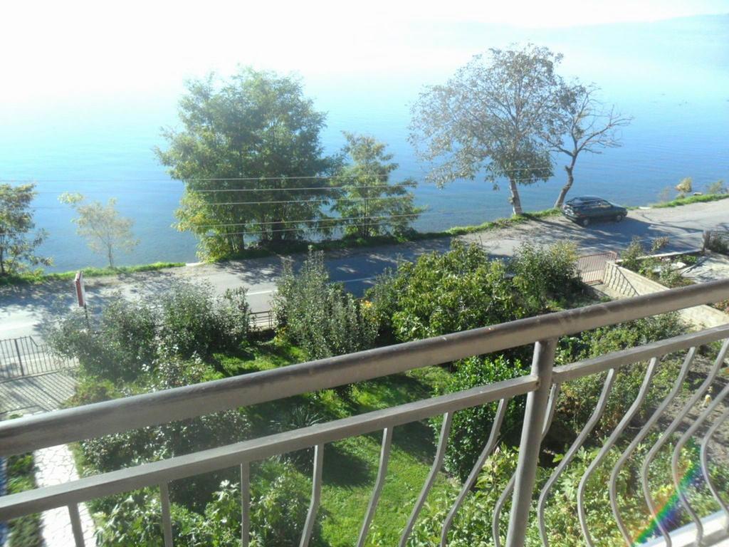 Guesthouse Zimovski Pestani Bagian luar foto