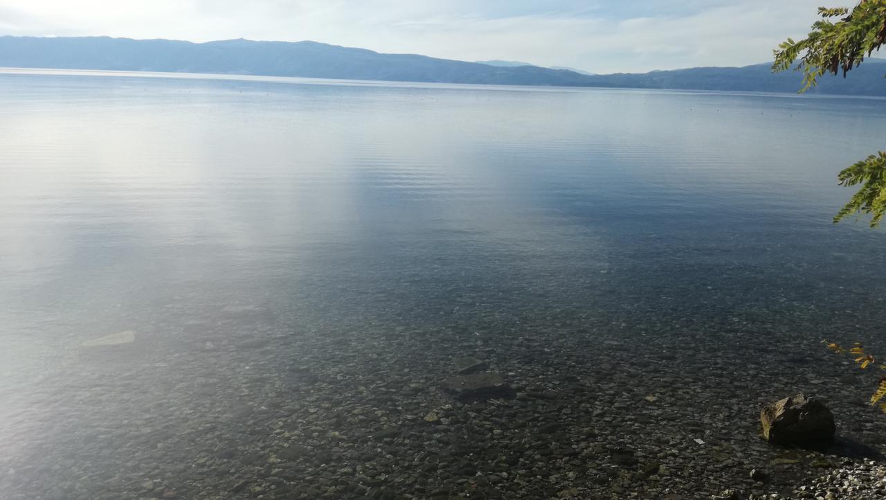 Guesthouse Zimovski Pestani Bagian luar foto
