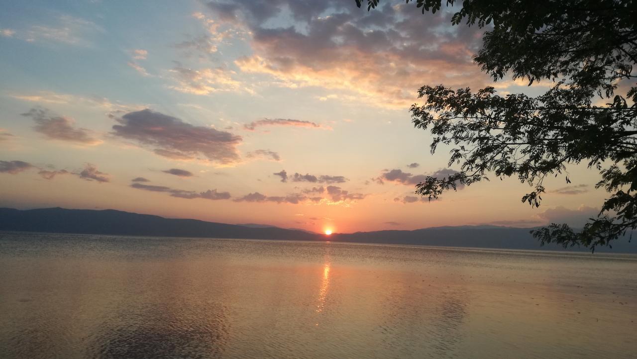 Guesthouse Zimovski Pestani Bagian luar foto