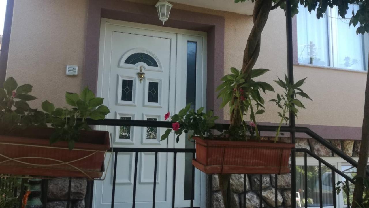 Guesthouse Zimovski Pestani Bagian luar foto