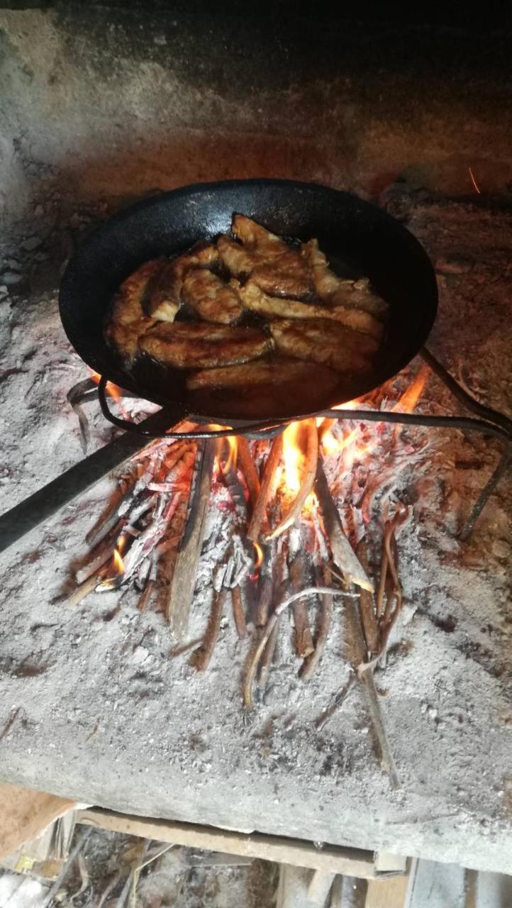 Guesthouse Zimovski Pestani Bagian luar foto