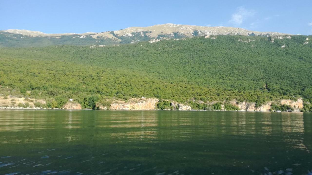 Guesthouse Zimovski Pestani Bagian luar foto