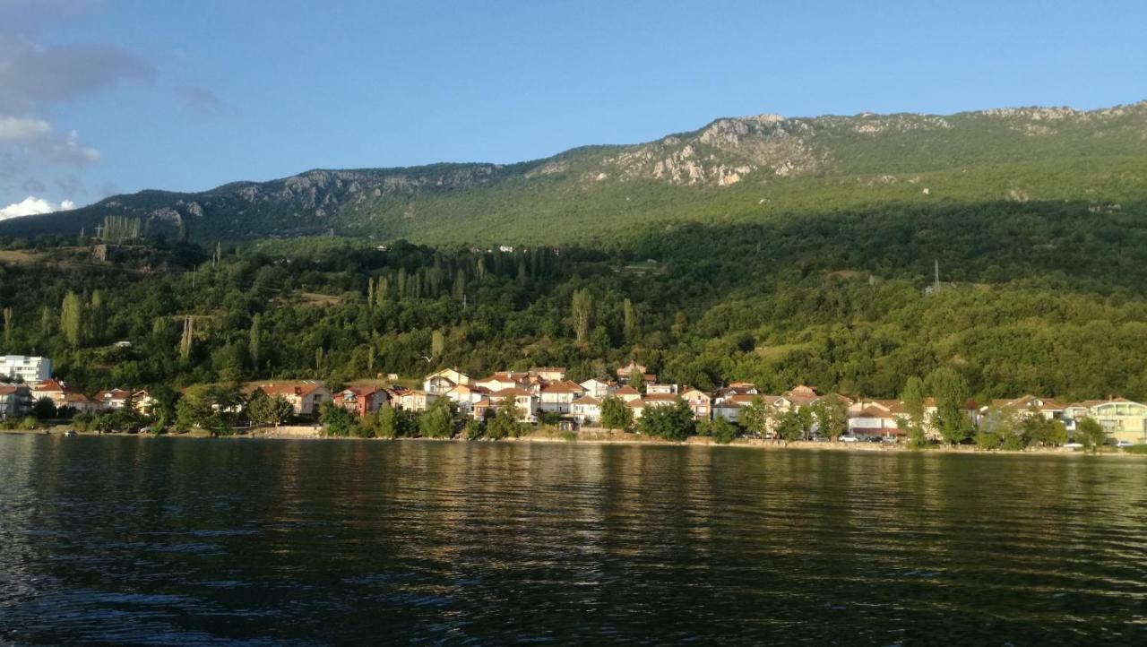 Guesthouse Zimovski Pestani Bagian luar foto